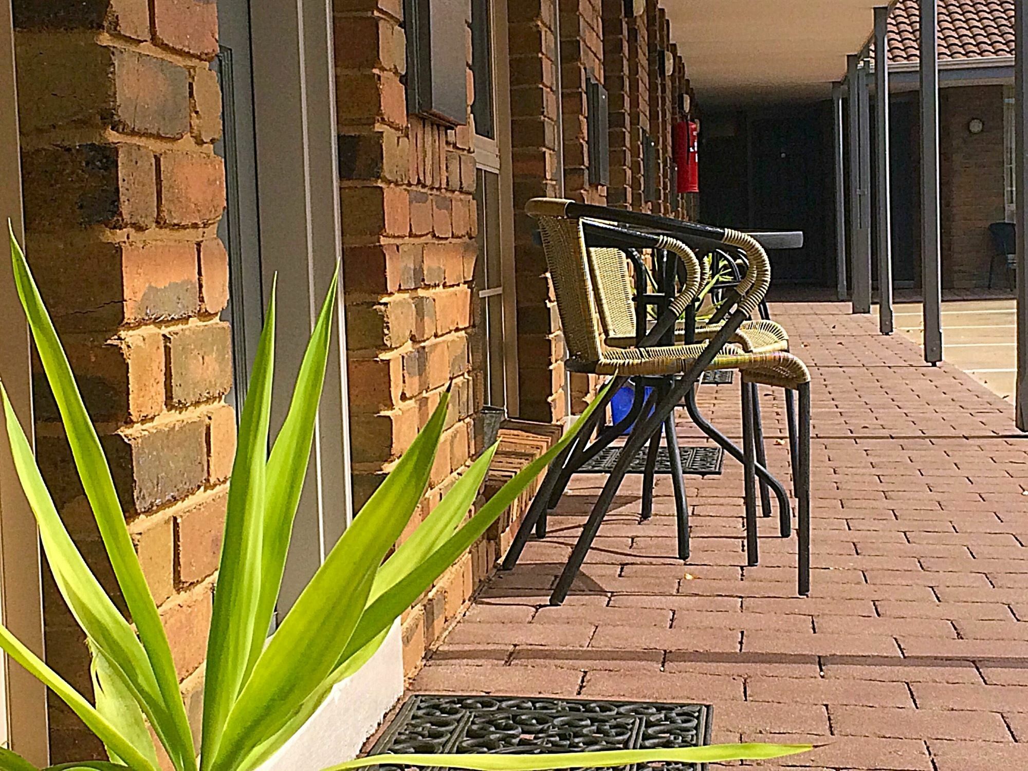 Pevensey Motor Lodge Echuca Kültér fotó